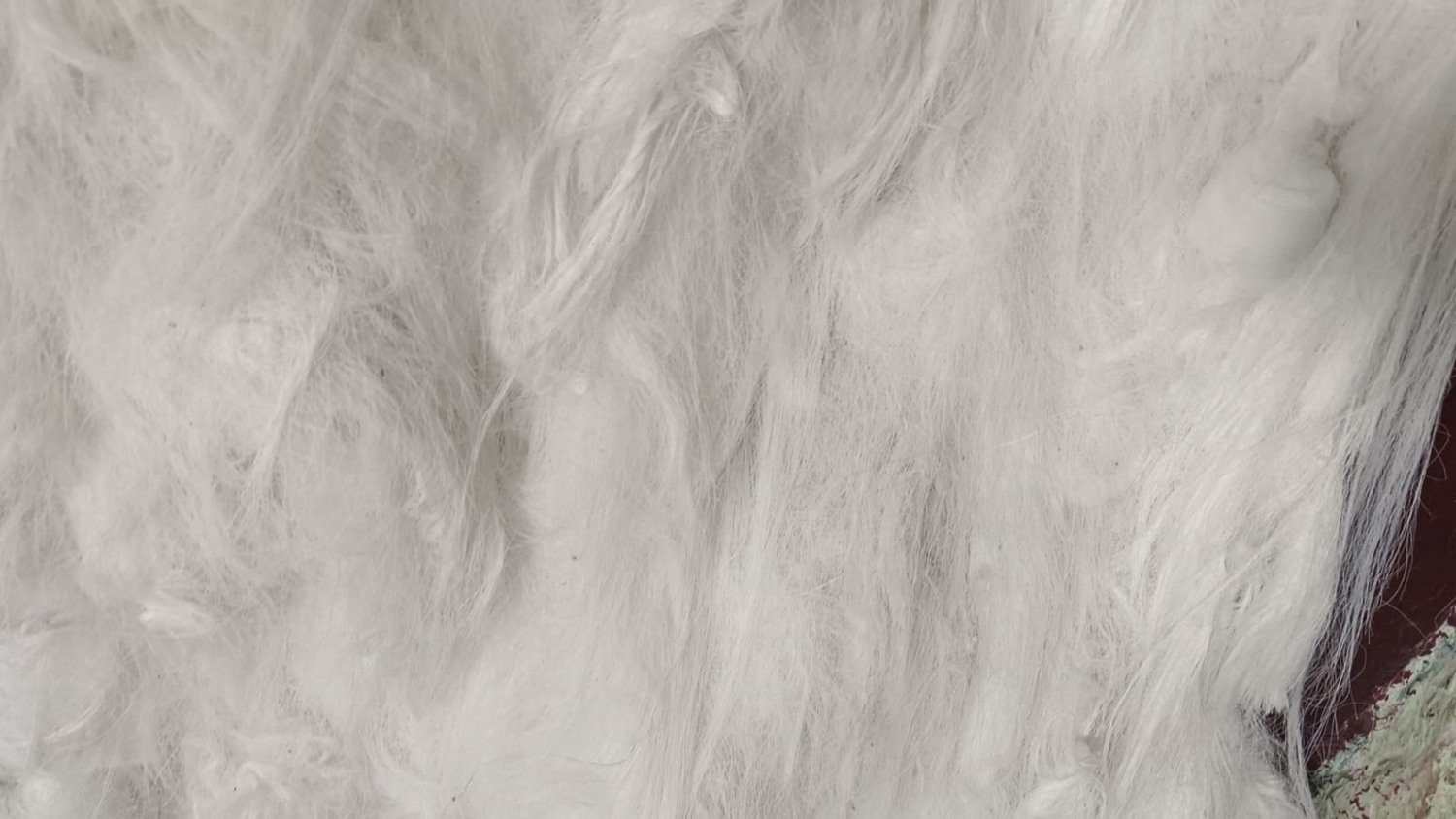 Original close-up photo showing recycled DTY/TPM fibre texture